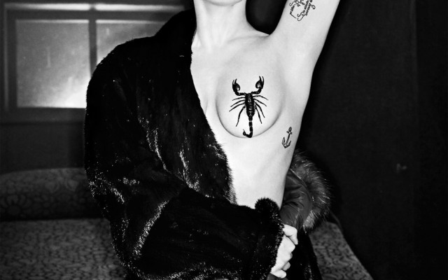 Lady Gaga, la artista integral