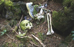 Aokigahara, el bosque del suicidio