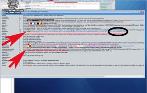 Anonymous nos la quiere meter doblada