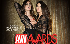 Los ganadores de los premios AVN 2017