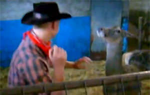 Cuidadito con Bambi