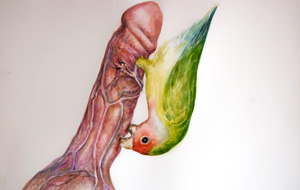 El monográfico del año: pájaros y pollas