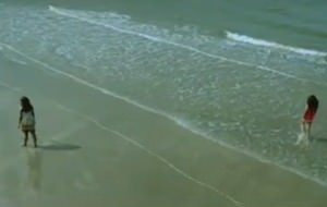 Campaña para proteger a los tiburones