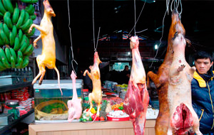Hanoi y sus carnicerías
