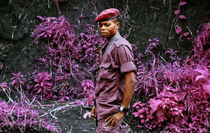 El vibrante Congo rosa de Richard Mosse