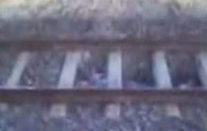 Jackass bajo las vías del tren
