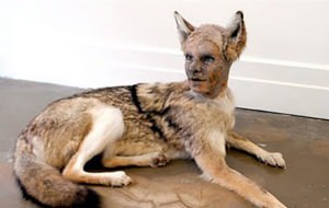 Los animales-humanos jodidos de Kate Clarke
