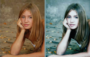 La belleza del photoshop (gato por liebre)