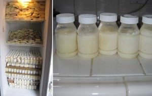 Una vaca en casa