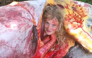 Algo de gore ecuestre