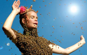 Mundo jodido: bailando con 12.000 abejas