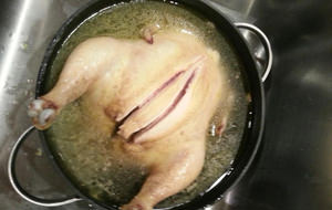 Pollo del amor