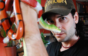 Veneno de serpiente, la heroína de Steve Ludwin