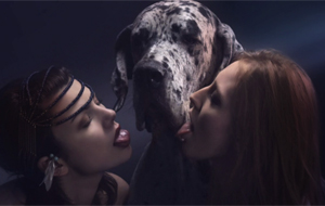 Un ligero exceso de amor por los perros